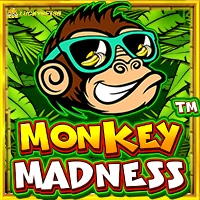 RTP Slot Pragmatic monkey madness